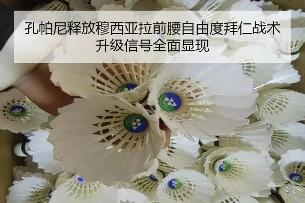 孔帕尼释放穆西亚拉前腰自由度拜仁战术升级信号全面显现
