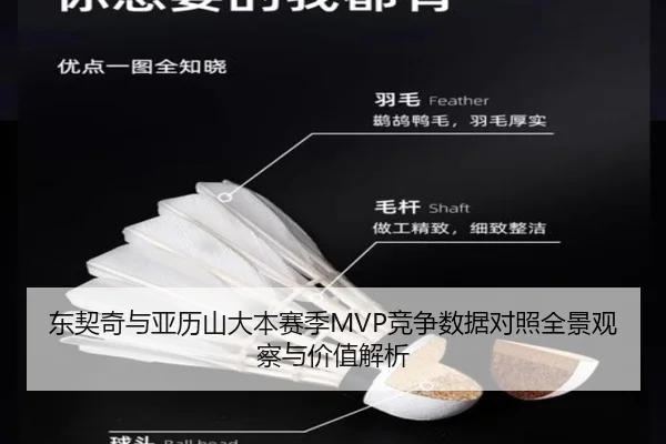 东契奇与亚历山大本赛季MVP竞争数据对照全景观察与价值解析