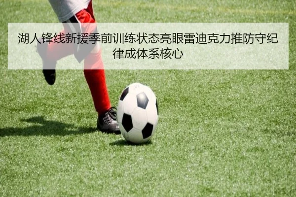 湖人锋线新援季前训练状态亮眼雷迪克力推防守纪律成体系核心